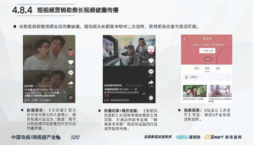 中國電視 網(wǎng)絡(luò)劇產(chǎn)業(yè)報告2020