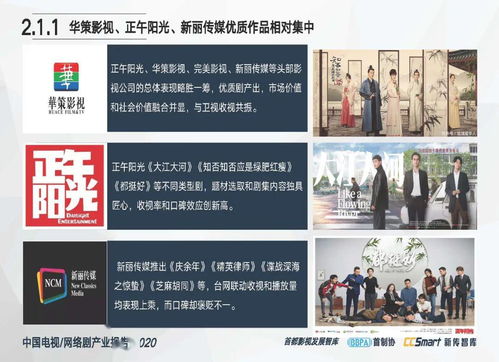 中國電視 網絡劇產業報告2020